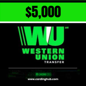 $5000 USD Western Union Transfer