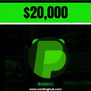 $20000 Paypal Transfer