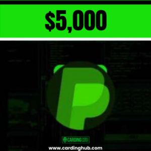 $5000 Paypal Transfer
