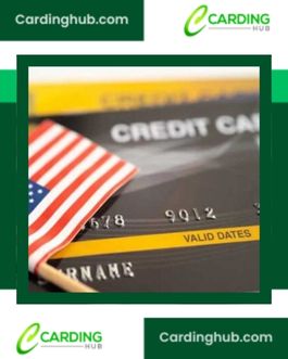 2X USA CC NON VBV KNOWN BALANCE 2k$ – 15k$ Legit cards