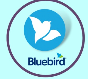 Buy Bluebird bank 2 year aged Account + VCC